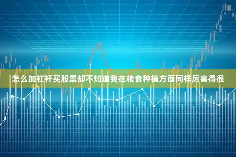怎么加杠杆买股票却不知道我在粮食种植方面同样厉害得很