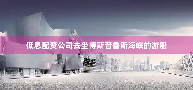 低息配资公司去坐博斯普鲁斯海峡的游船