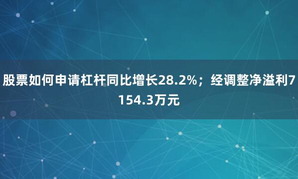 股票如何申请杠杆同比增长28.2%；经调整净溢利7154.3万元